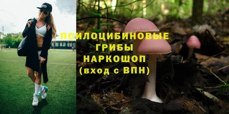 Галлюциногенные грибы Magic Shrooms  мега зеркало  Апрелевка 